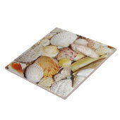 貝瓦 タイル (側面)