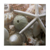 貝瓦 タイル (正面)