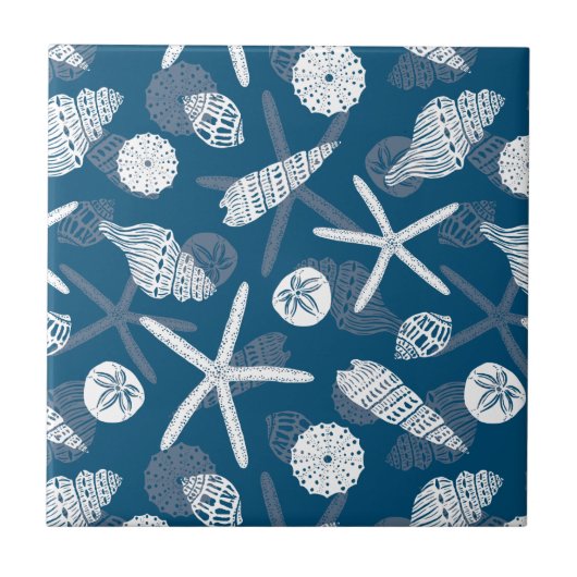 貝絵を描類 タイル (正面)