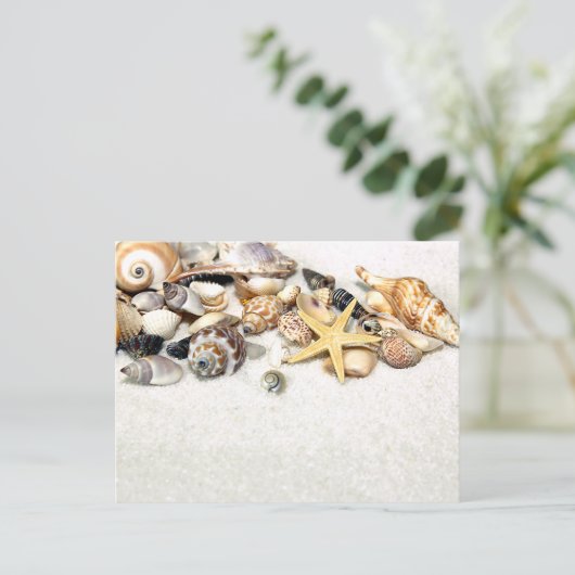 貝葉書 ポストカード (スタンド正面)