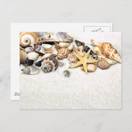 貝葉書 ポストカード (正面/裏面)