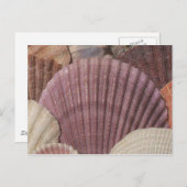 貝葉書 ポストカード (正面/裏面)