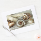 貝類とヒトデビーチシール 長方形シール (封筒)