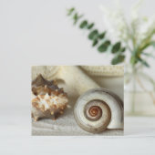 貝類とヒトデビーチ葉書 ポストカード (スタンド正面)