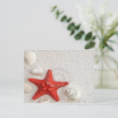 貝類とヒトデ ポストカード (スタンド正面)