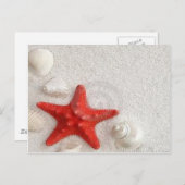 貝類とヒトデ ポストカード (正面/裏面)