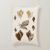 貝類と海綿、古風な海洋生物 アクセントクッション (裏面(縦))