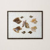 貝類と海綿、古風な海洋生物 ジグソーパズル (横)