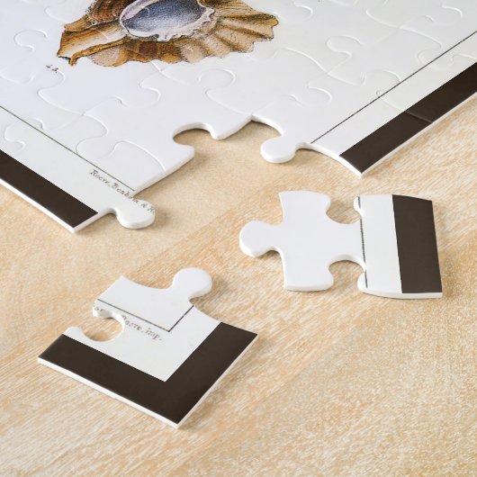 貝類と海綿、古風な海洋生物 ジグソーパズル (側面)