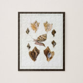 貝類と海綿、古風な海洋生物 ジグソーパズル (縦)