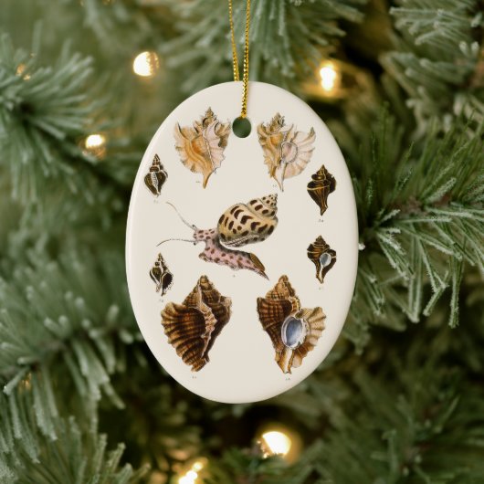 貝類と海綿、古風な海洋生物 セラミックオーナメント (ツリー)