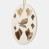 貝類と海綿、古風な海洋生物 セラミックオーナメント (左)