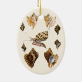 貝類と海綿、古風な海洋生物 セラミックオーナメント (裏面)