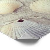 貝類のコレクション ポスター (角)