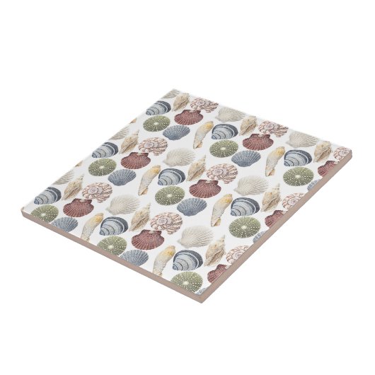 貝類の海岸沿いの装飾 タイル (側面)