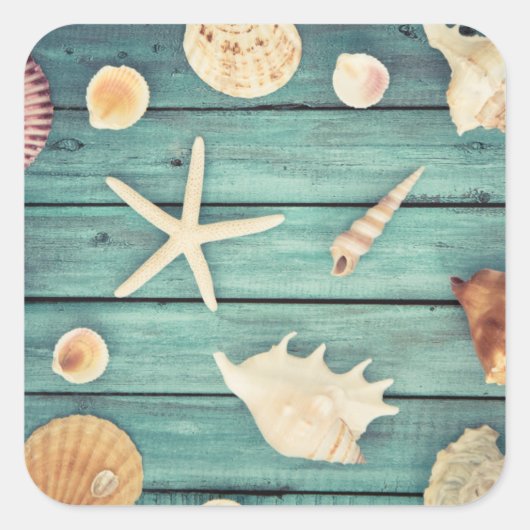 貝類の選択 スクエアシール (正面)