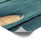 貝類の選択 ポスター (角)