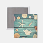 貝類の選択 マグネット (正面/裏面)