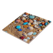 貝類セラミックタイル タイル (側面)