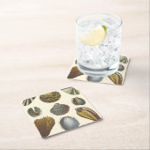 貝類学のコレクション スクエアペーパーコースター (インサイチュ)