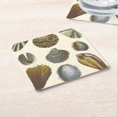 貝類学のコレクション スクエアペーパーコースター (アングル)