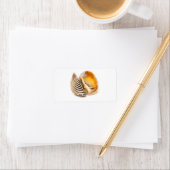 貝類 ラベル (インサイチュ)