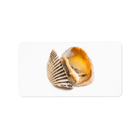 貝類 ラベル (正面)