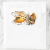 貝類 長方形シール (バッグ)