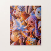 貝 ジグソーパズル (縦)