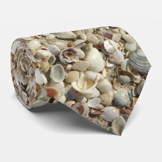貝 ネクタイ (ロール)