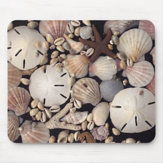 貝 マウスパッド (正面)