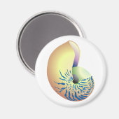 貝 マグネット (正面/裏面)