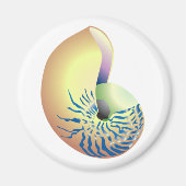 貝 マグネット (正面)