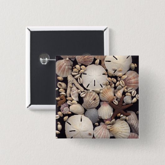 貝 缶バッジ (正面&裏面)