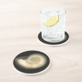 貝-貝類学-オウムガイ コースター (側面)