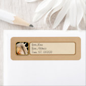 貝-貝類学-コンシュ ラベル (インサイチュ)