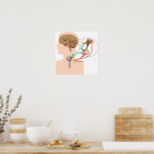 負帰還下垂体甲状腺軸ポスター ポスター (キッチン)