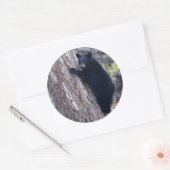 負担 ラウンドシール (封筒)