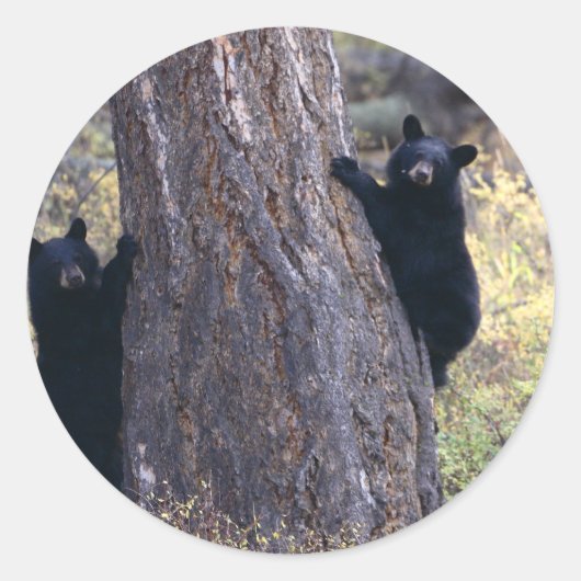 負担 ラウンドシール (正面)