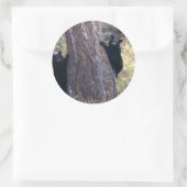 負担 ラウンドシール (バッグ)