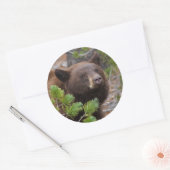 負担 ラウンドシール (封筒)