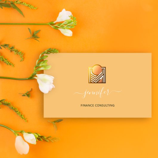 財務コンサルティングブローカー会計士Bitcoinsバラ 名刺