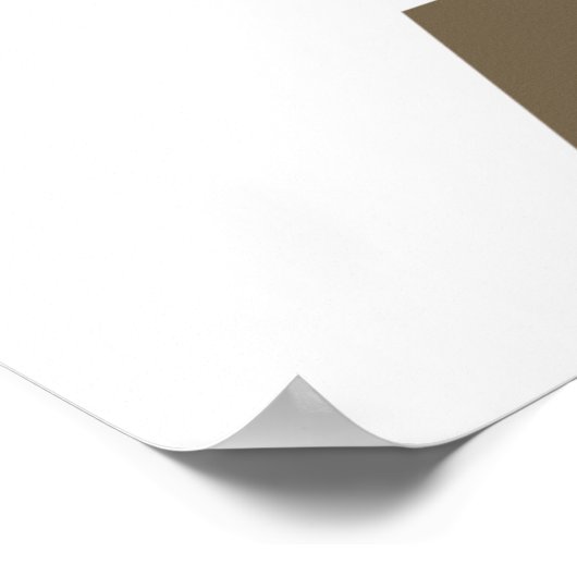 財務女性 ポスター (角)