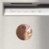 財務省 マグネット (インサイチュ (食洗機))