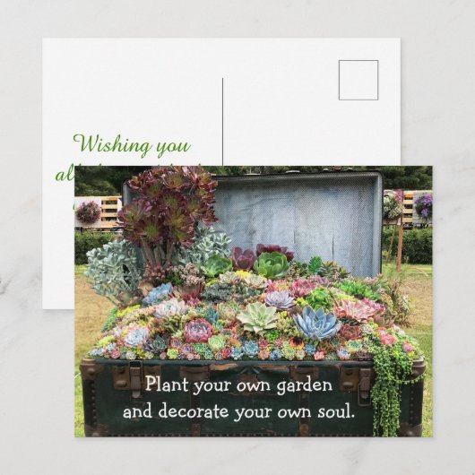 財宝箱の多肉類 ポストカード (正面/裏面)