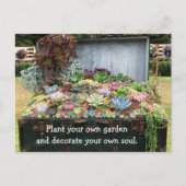 財宝箱の多肉類 ポストカード (正面)