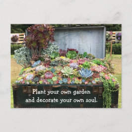 財宝箱の多肉類 ポストカード