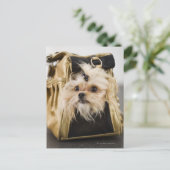 財布の中の犬 ポストカード (スタンド正面)
