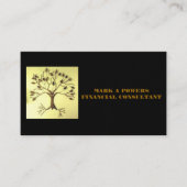 財政のコンサルタントのための名刺 名刺 (正面)