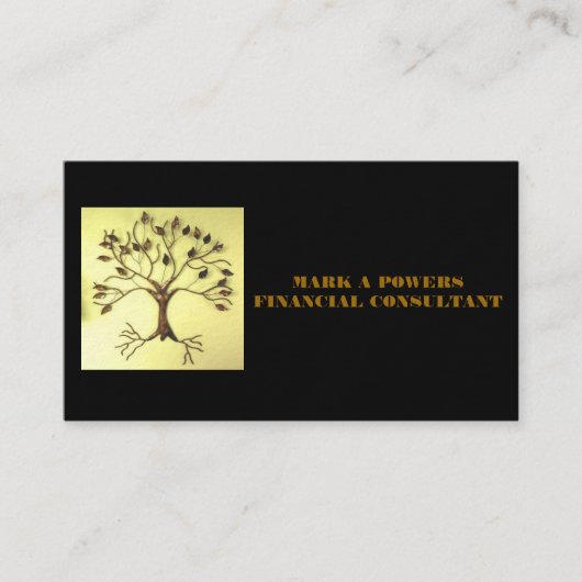 財政のコンサルタントのための名刺 名刺 (正面)